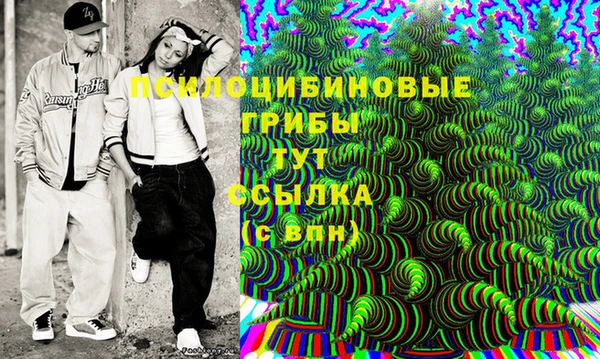амф Россошь