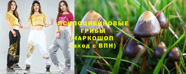 ECSTASY Дмитровск